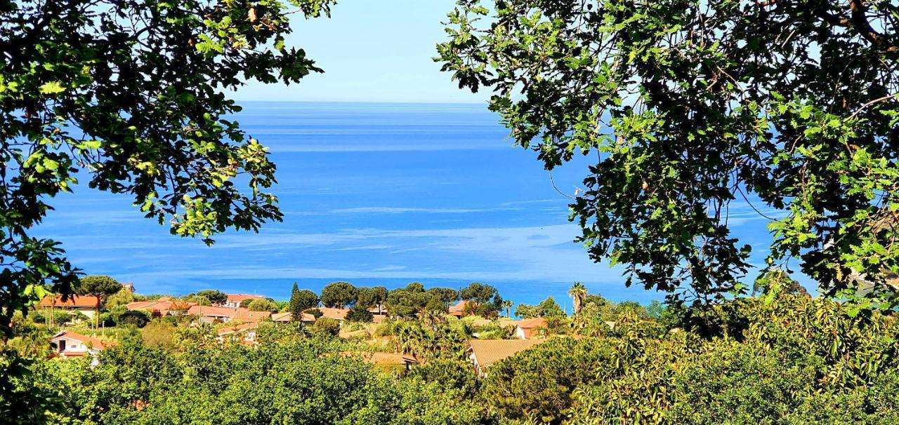 Naturamare Apartments - Piscina Idromassaggio Con Vista Mare Aperta Fino Alle Ore 22-00 Capo Vaticano Exteriér fotografie